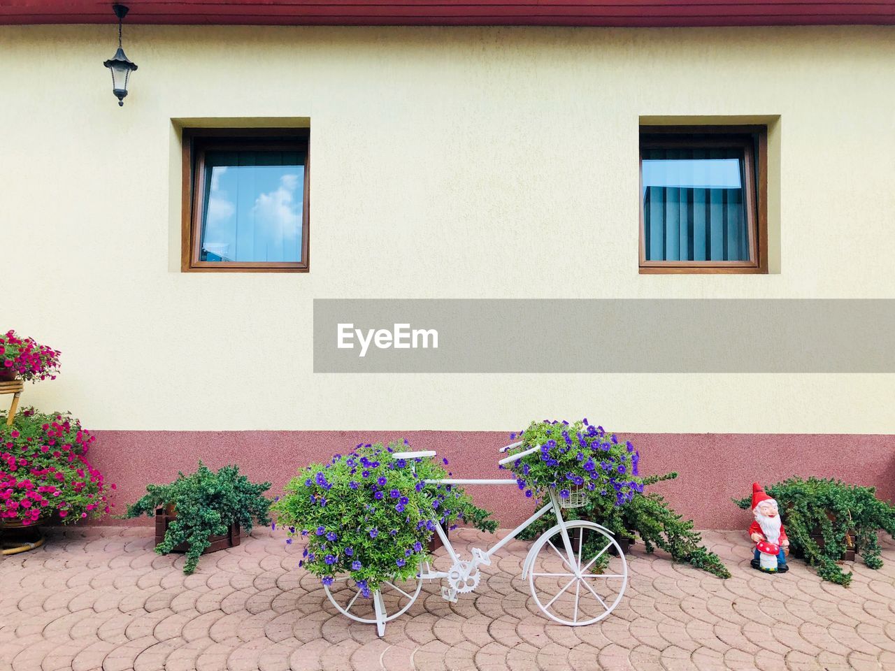 Bicycle parked by plants on footpath against house