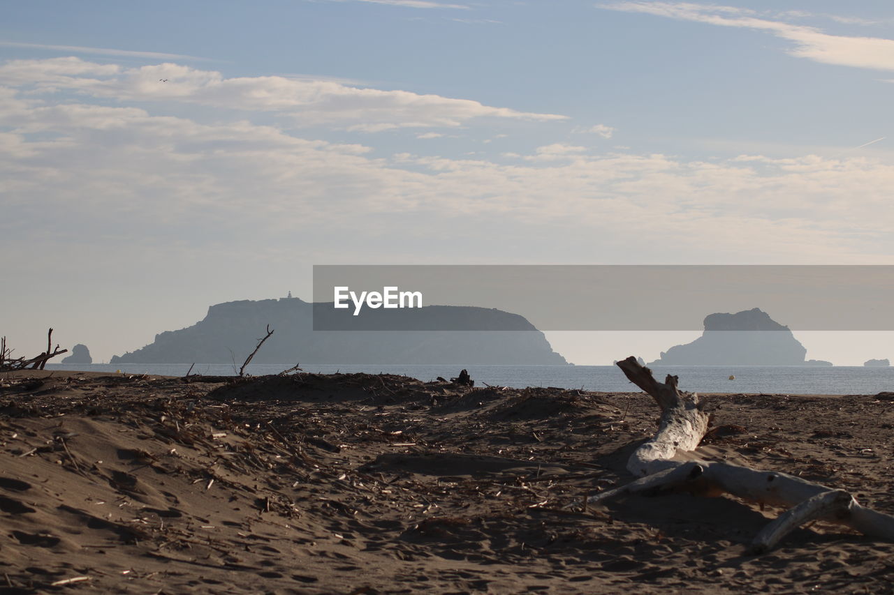 SCENIC VIEW OF BEACH