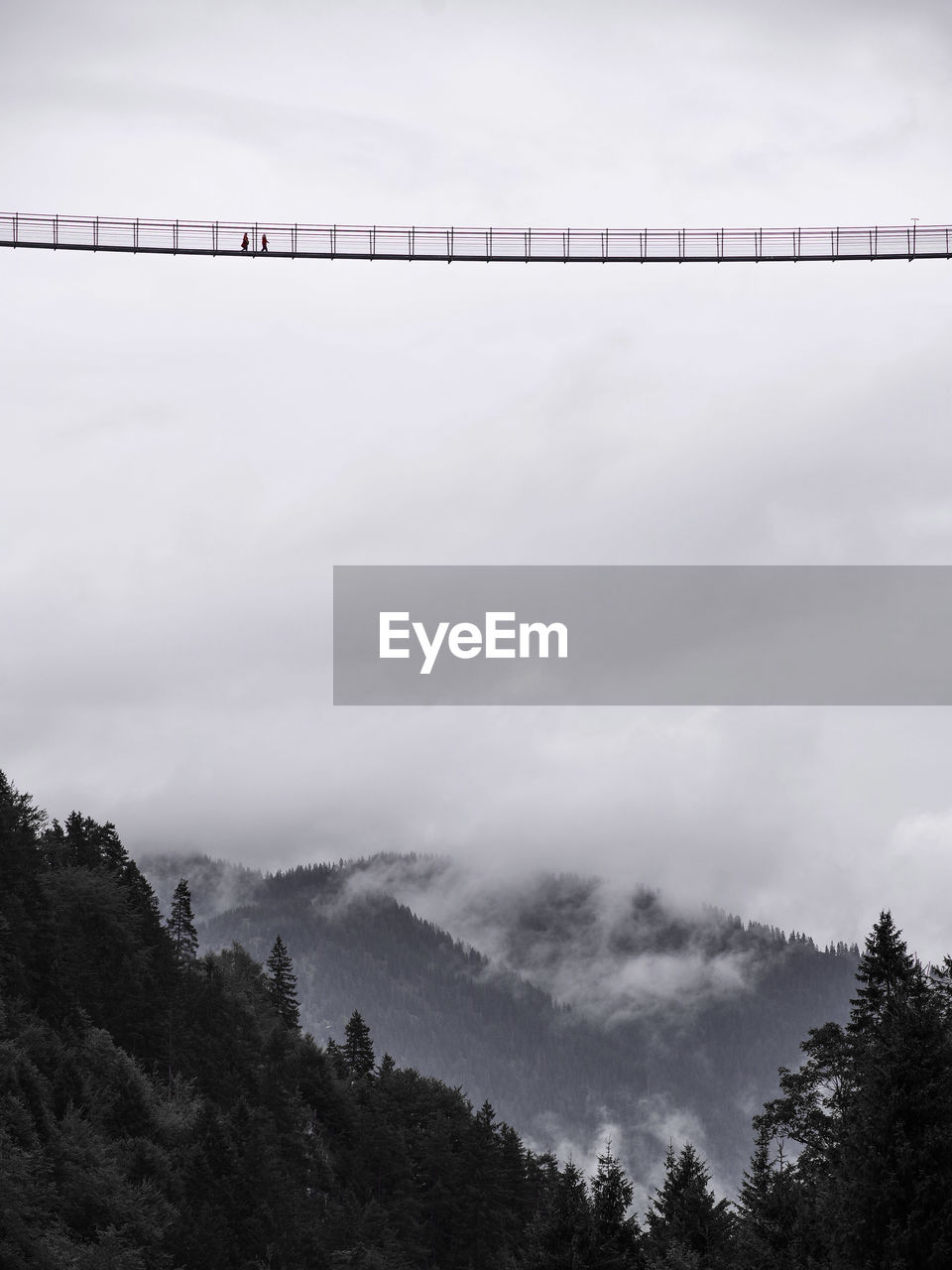 LOW ANGLE VIEW OF TREES AND MOUNTAIN AGAINST SKY