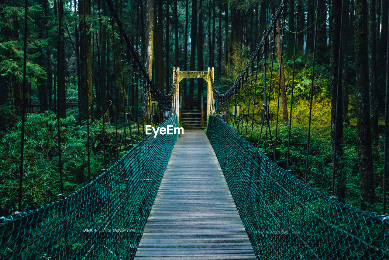 Empty footbridge at forest