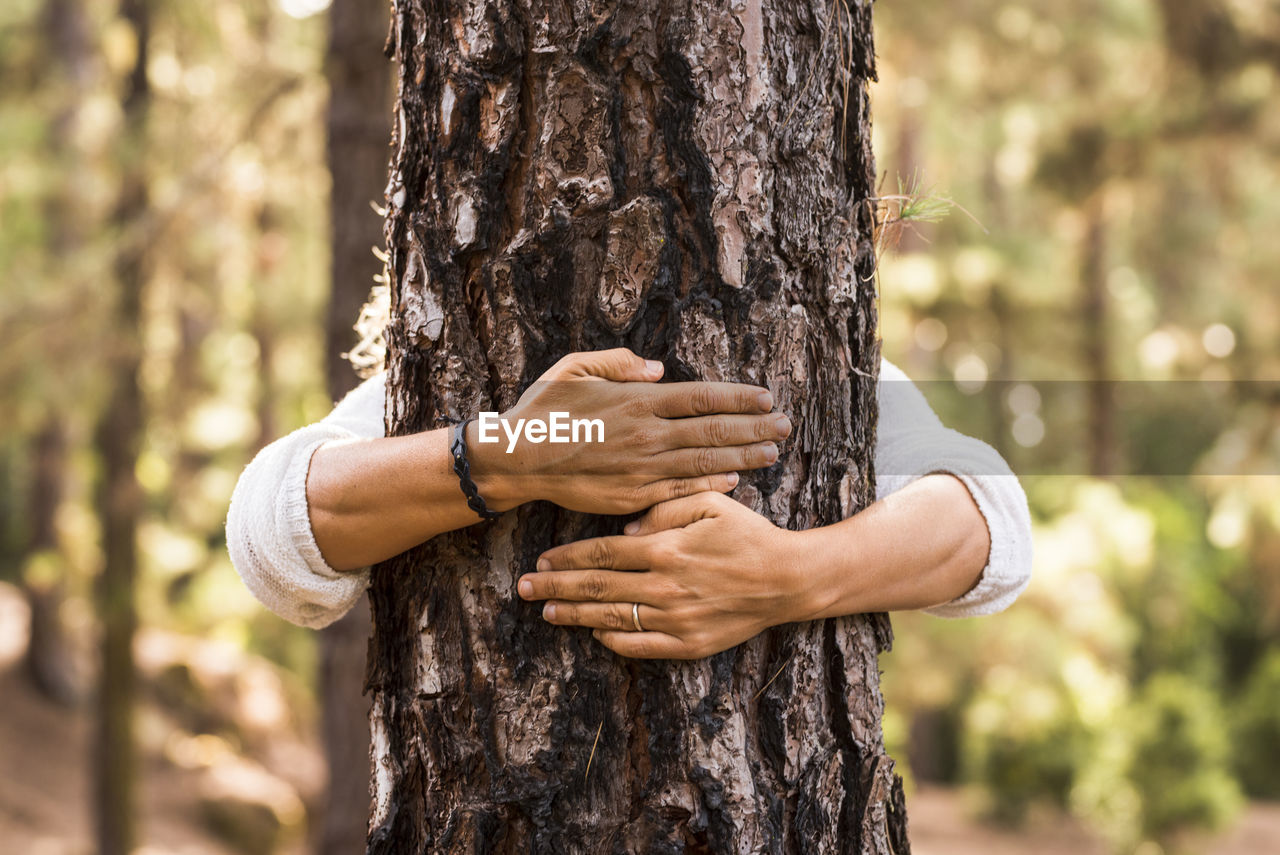 Midsection of man holding tree trunk in forest