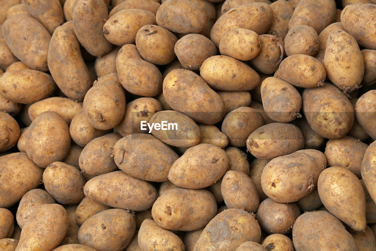 Close up heap of many fresh new farm potato at retail display of farmer market, high angle view