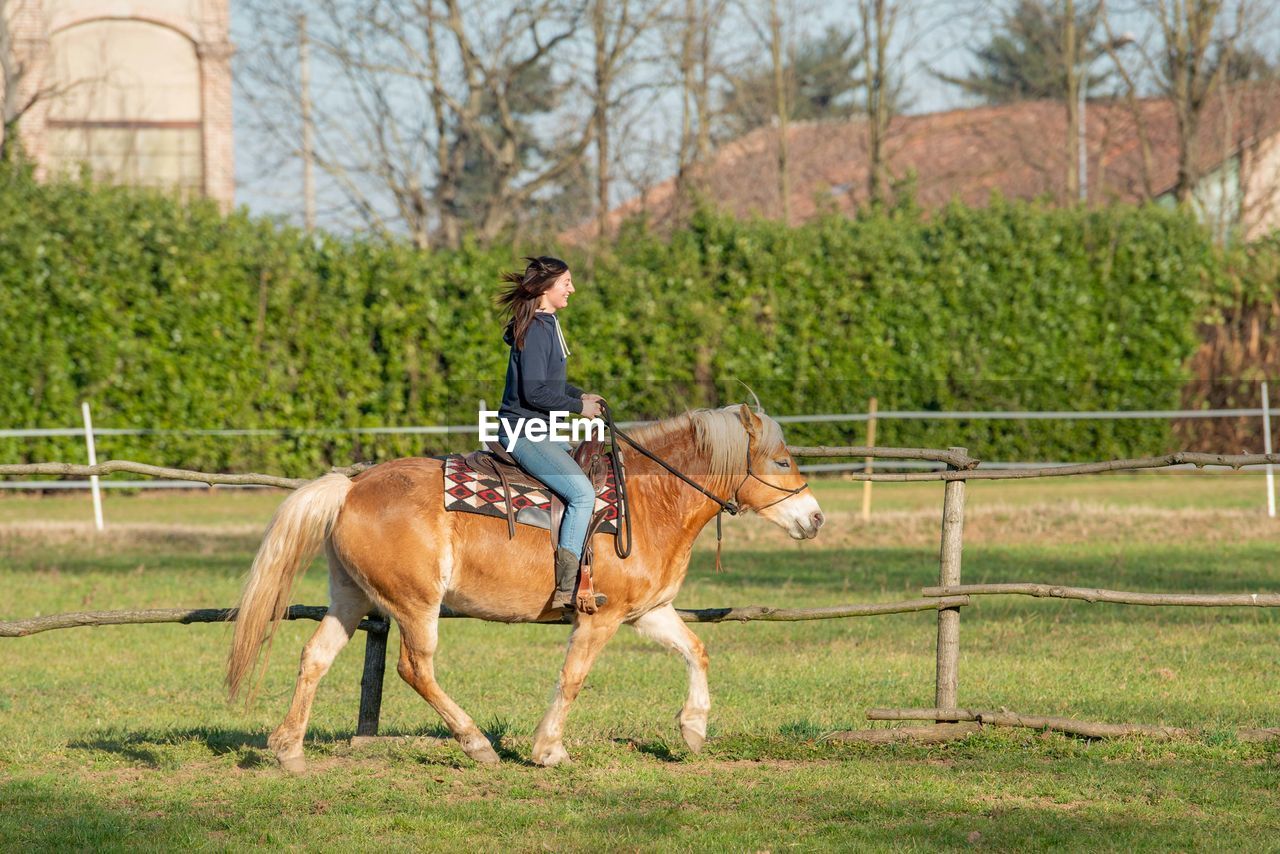 Man riding horse on field