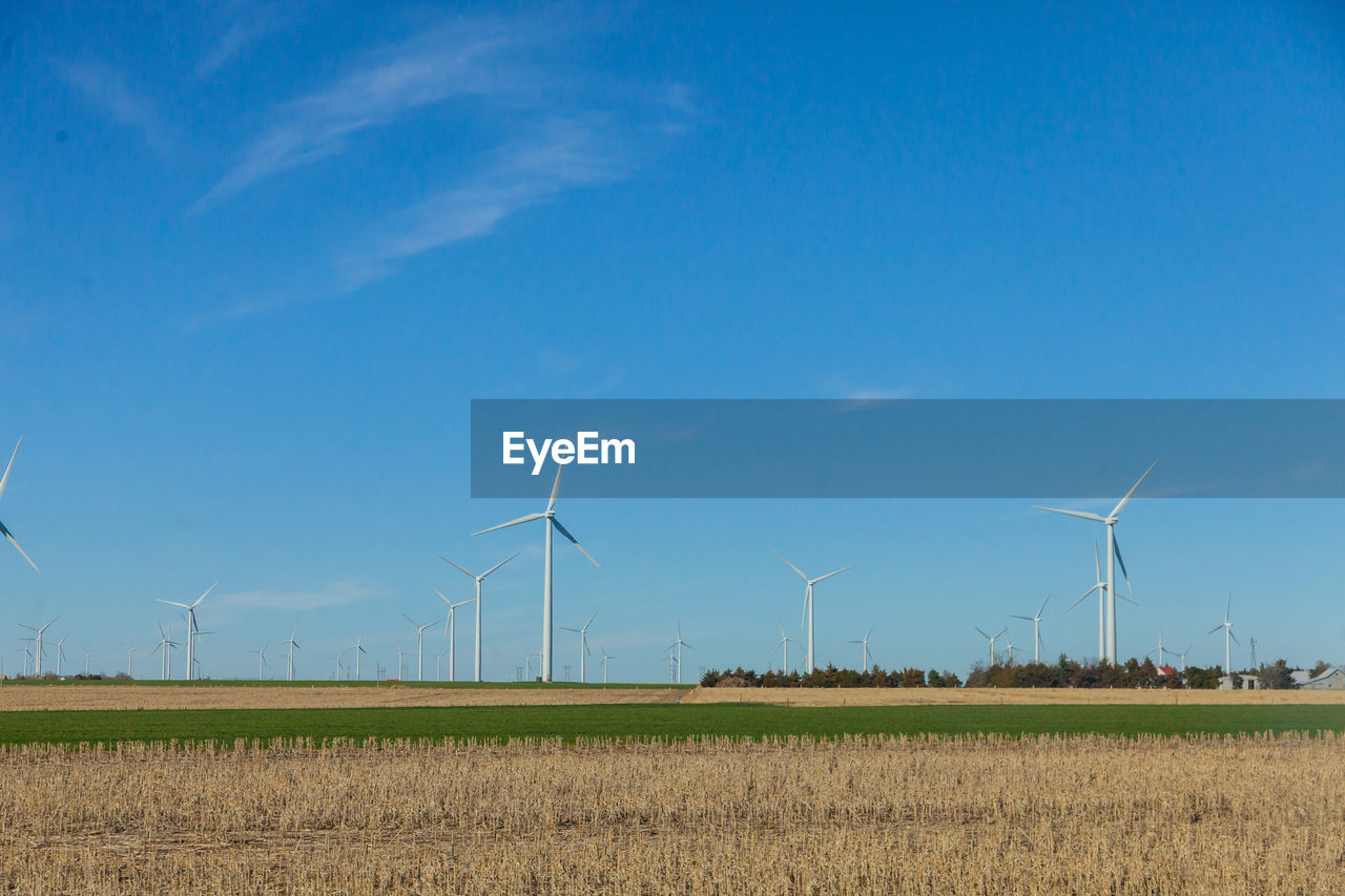 Wind turbines on field against blue sky