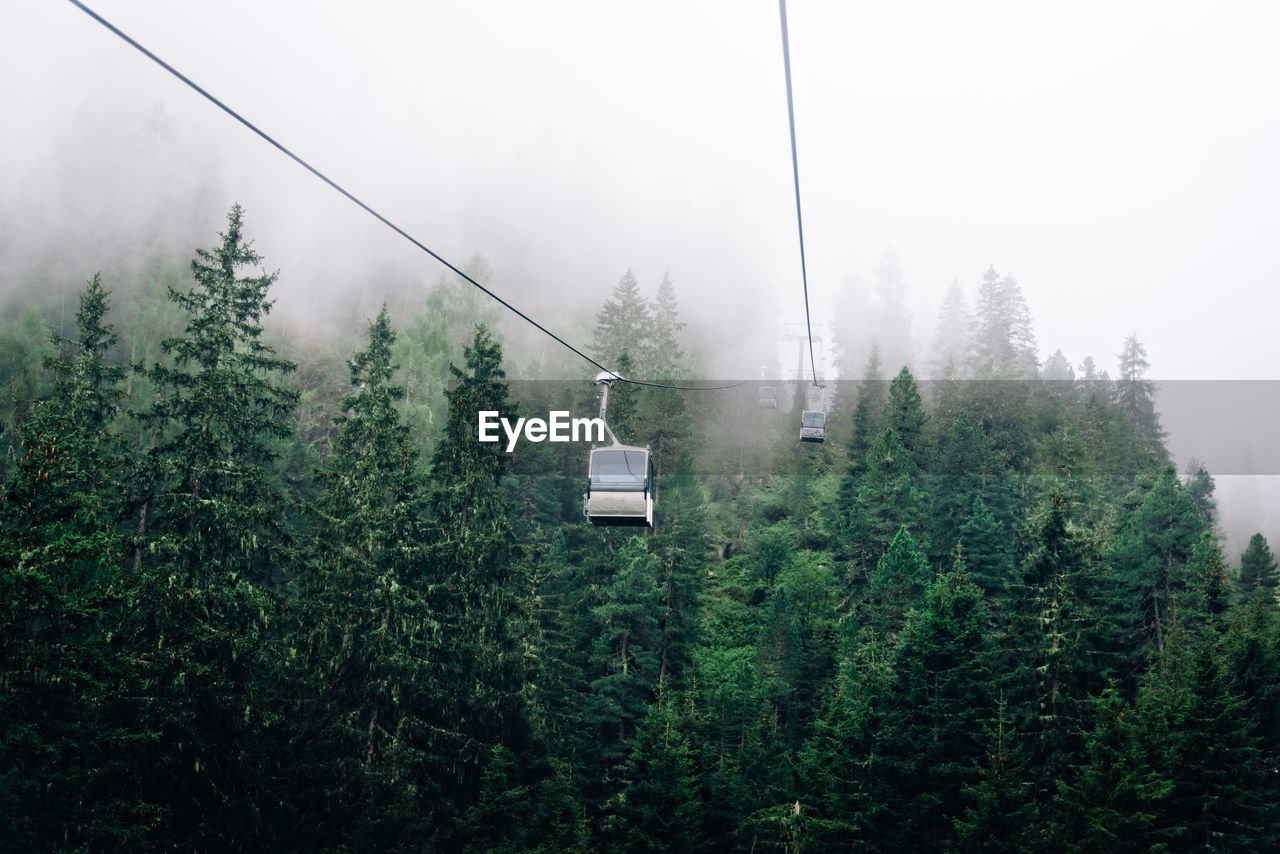 Overhead cable cars in forest during foggy weather