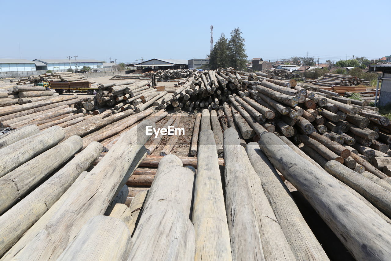 STACK OF FIREWOOD IN FOREST AGAINST SKY