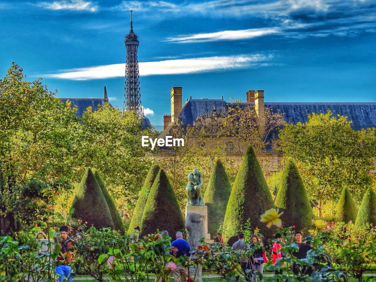 Cloudy sky above botanical garden