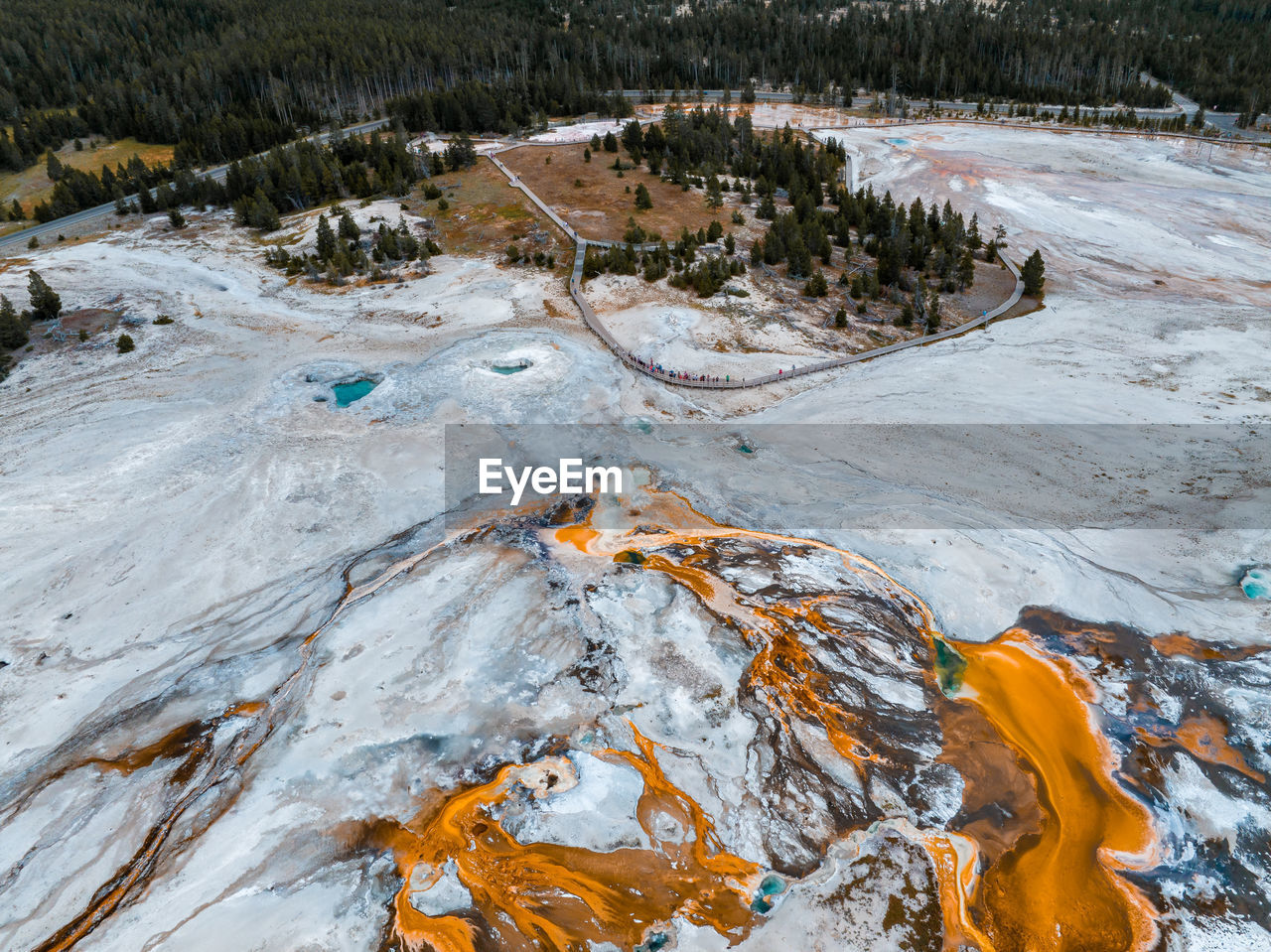 Upper geyser basin of yellowstone national park, wyoming