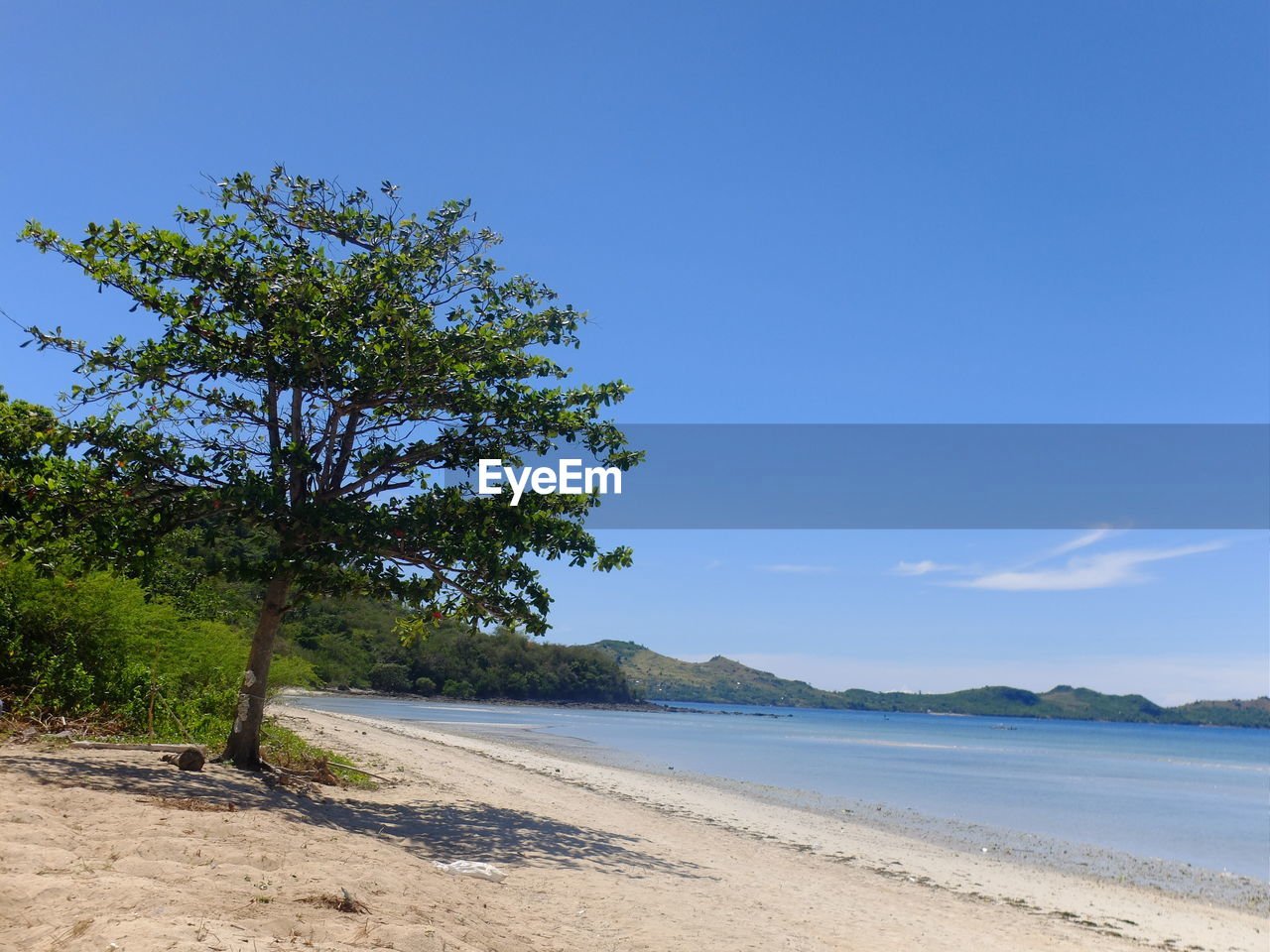 Scenic view of sea against clear blue sky