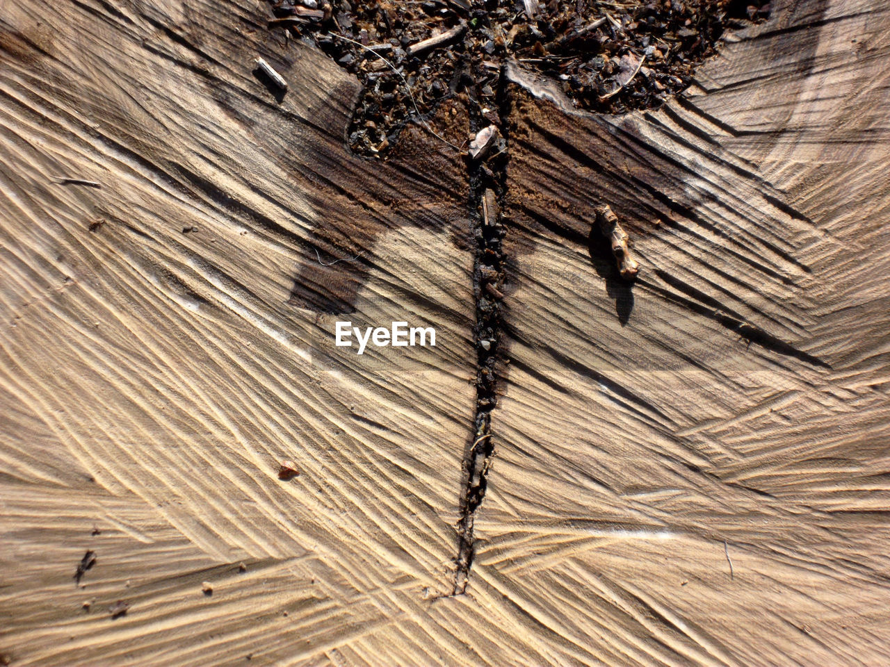 CLOSE-UP OF WOOD ON WOODEN SURFACE