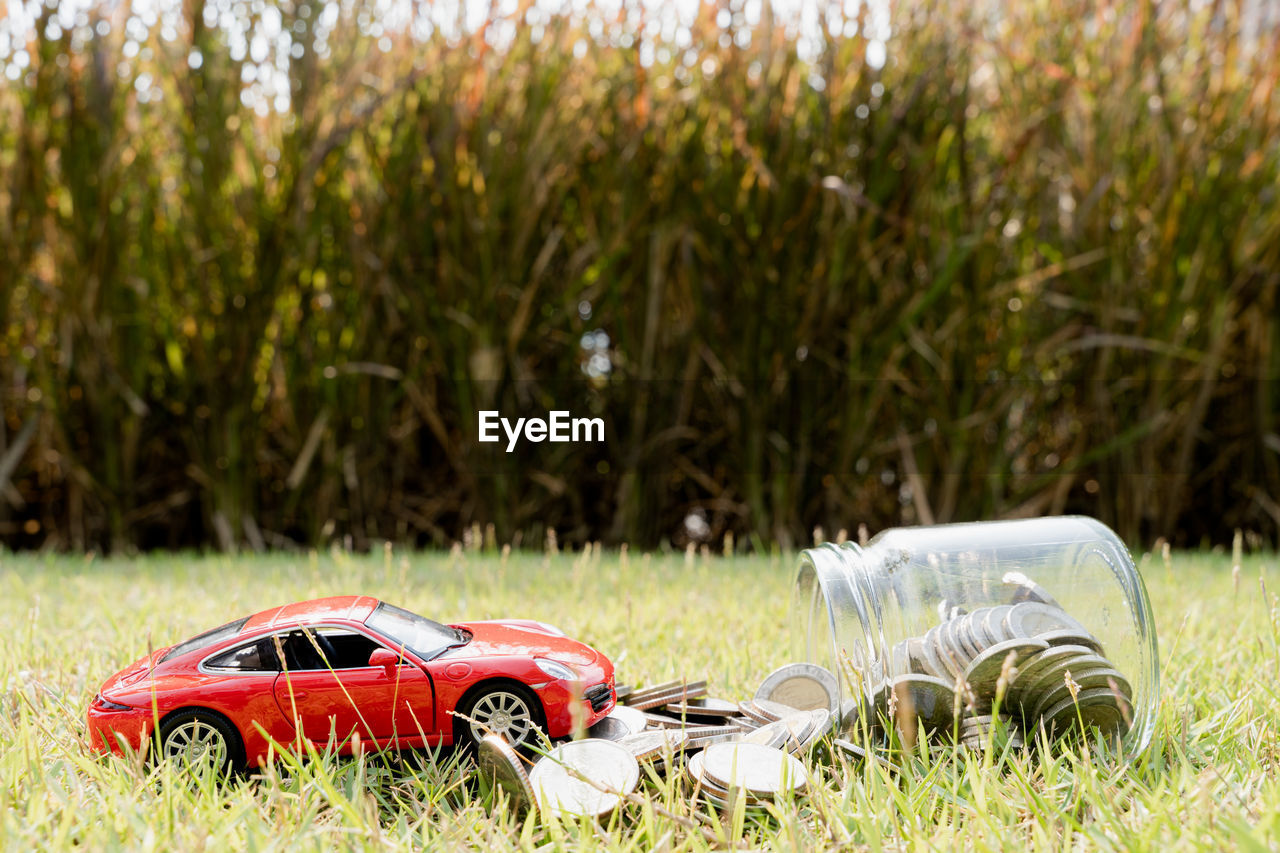 TOY CAR IN FIELD