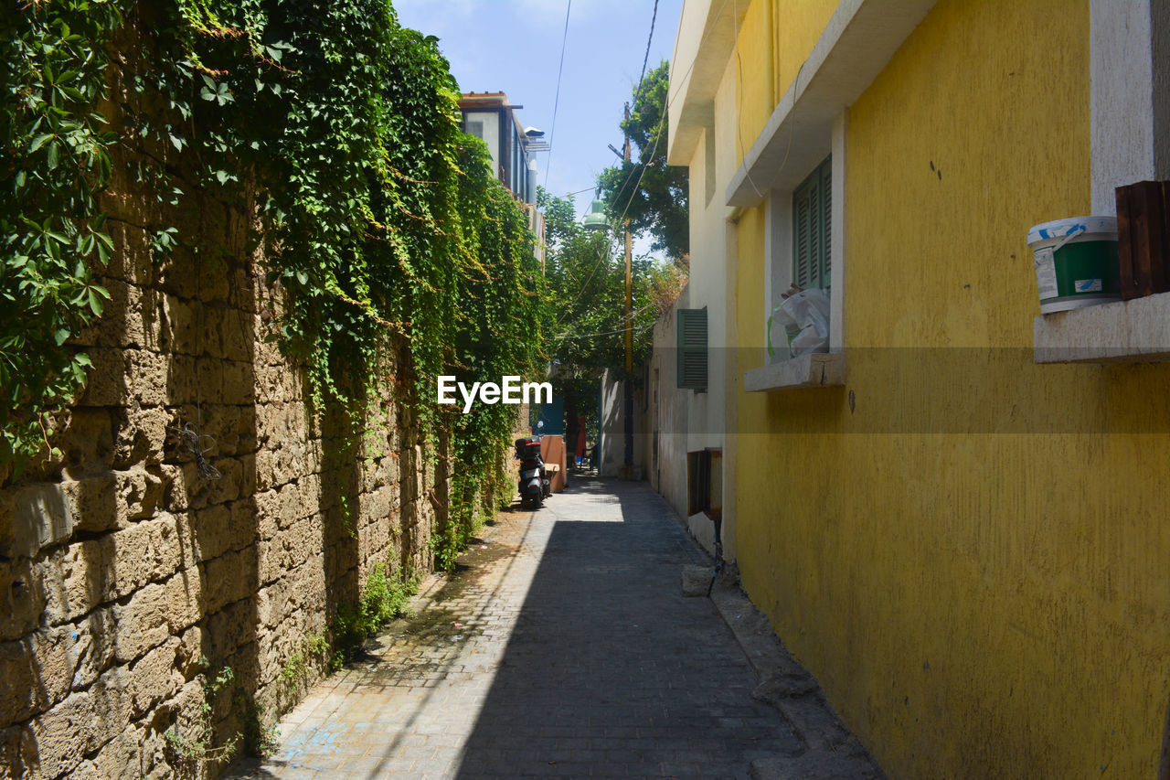 Alley by residential building