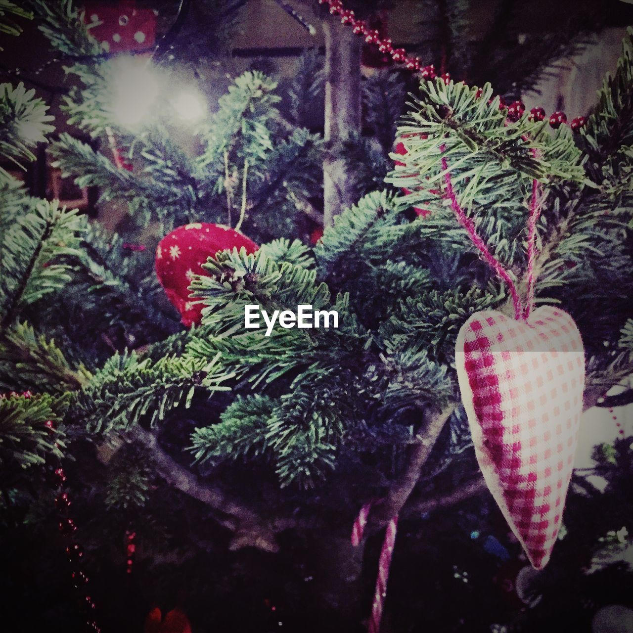 Close-up of decorated christmas tree