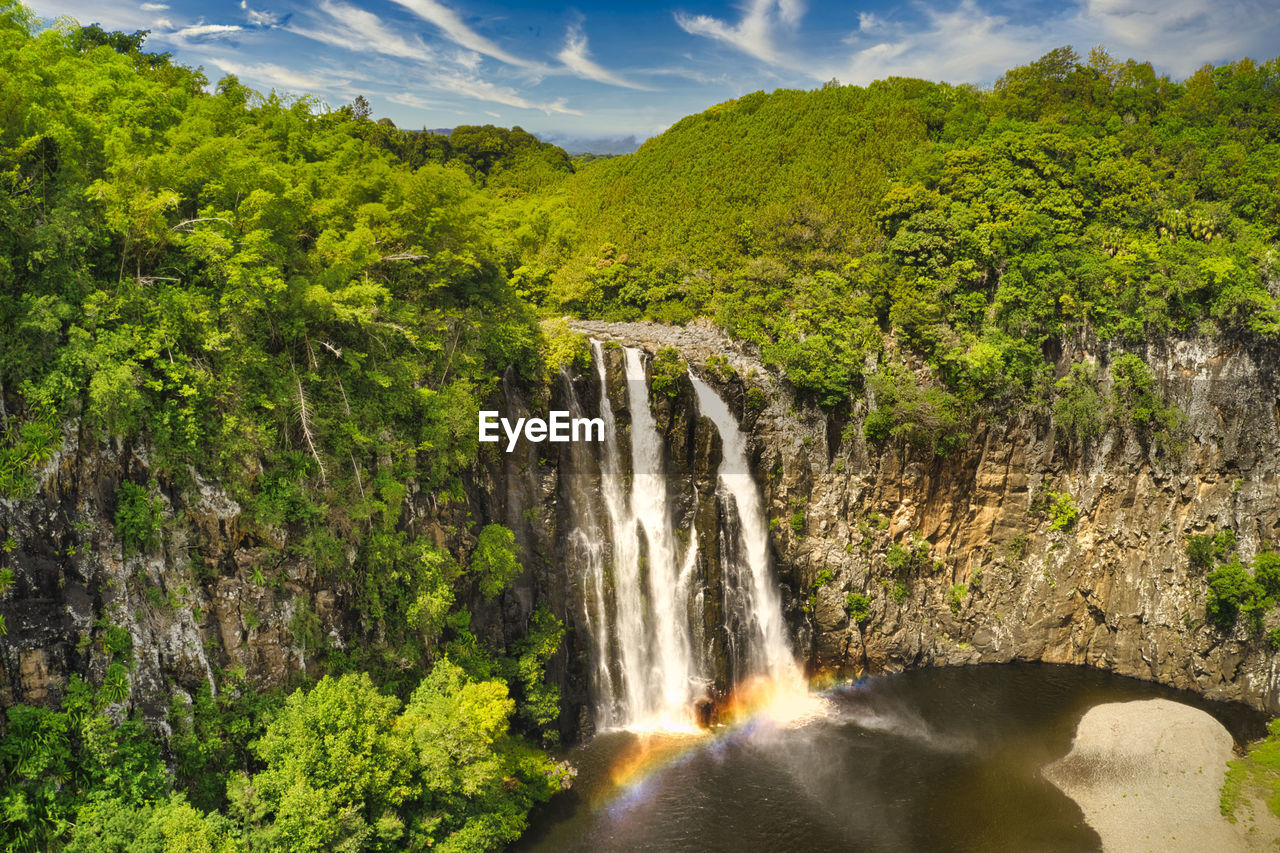Scenic view of waterfall in forest