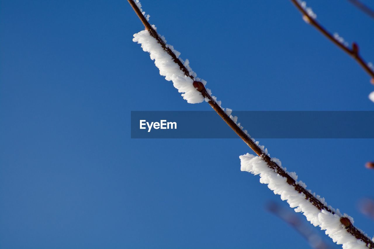 LOW ANGLE VIEW OF VAPOR TRAIL AGAINST SKY