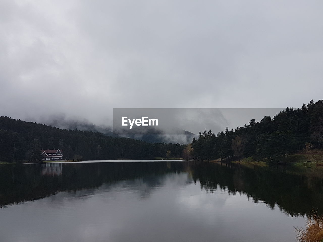 Scenic view of lake by trees against sky