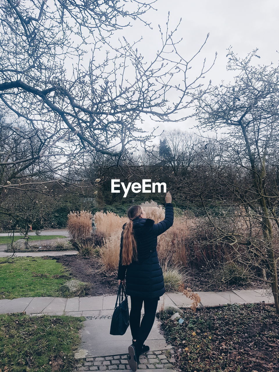 Rear view of woman standing by bare tree against sky