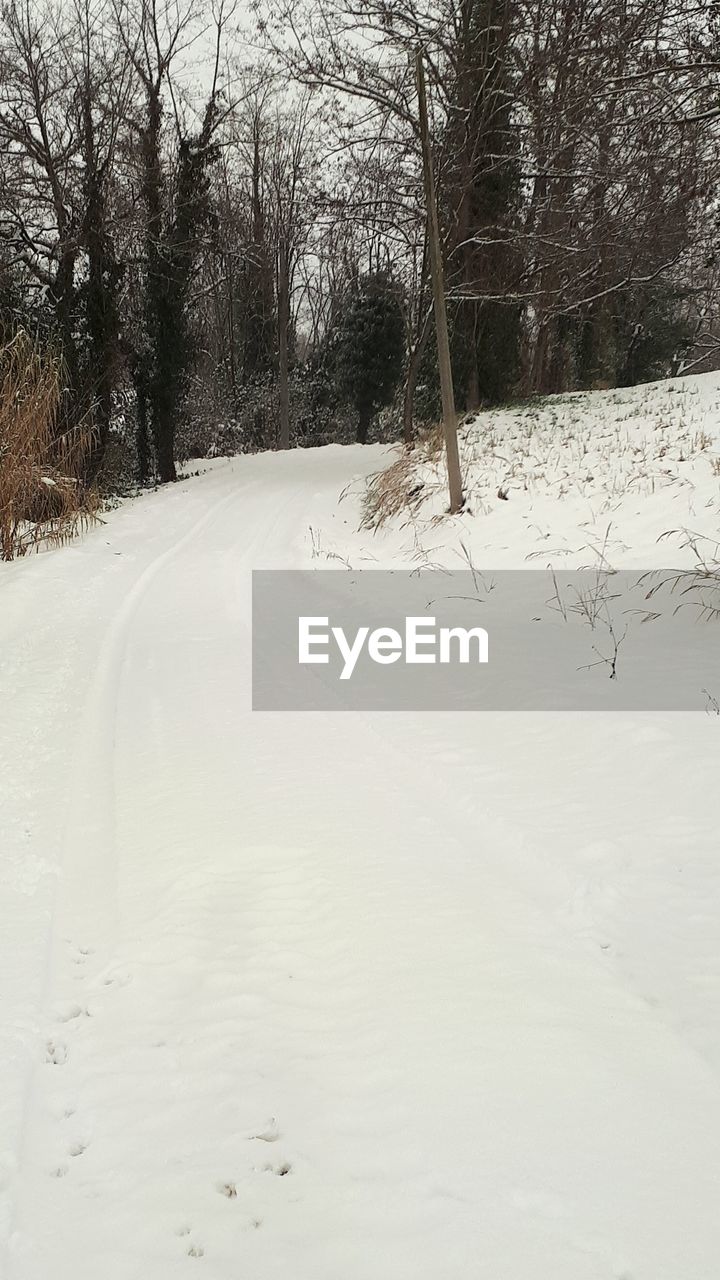 SNOW COVERED ROAD AMIDST TREES