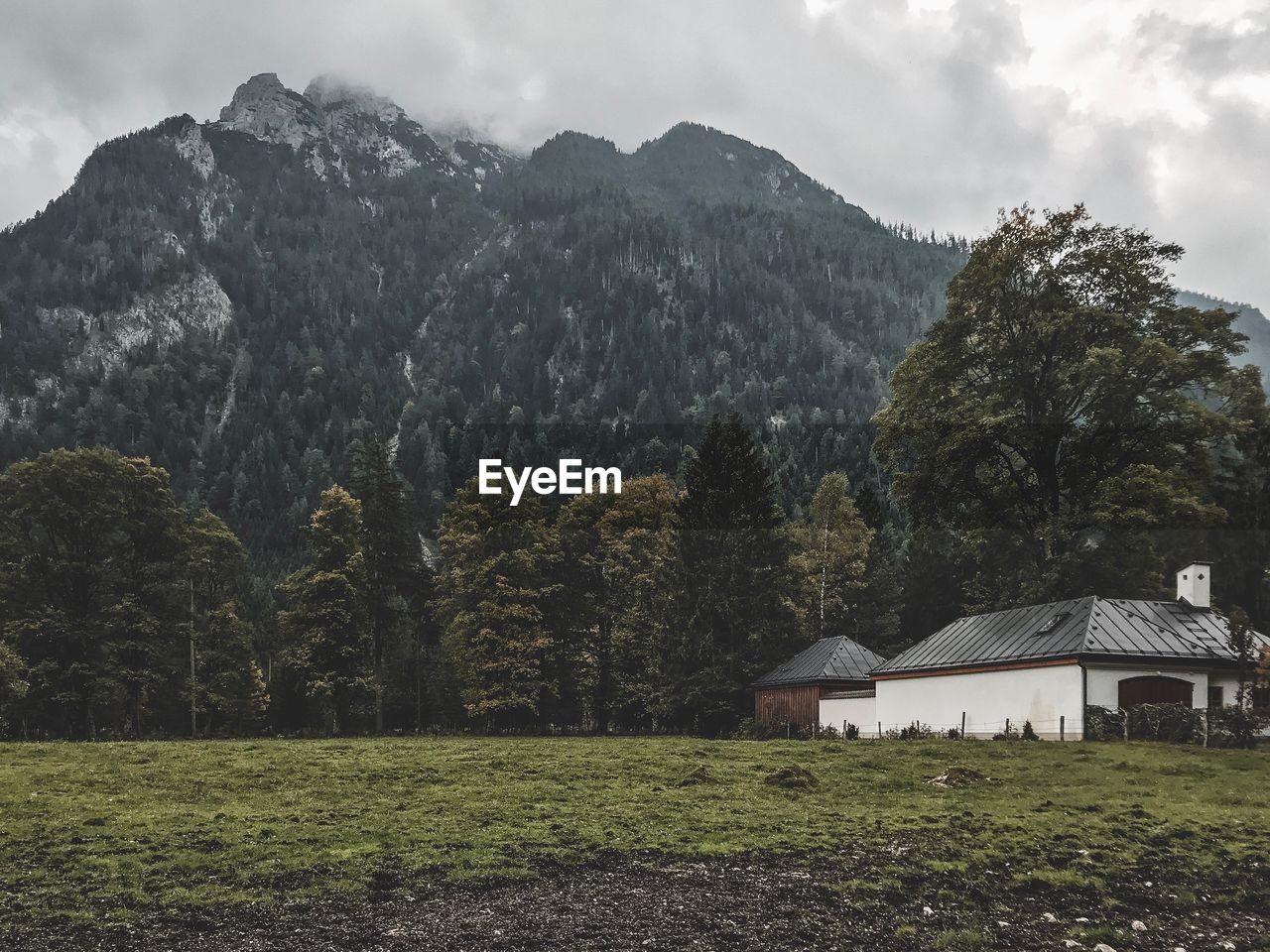 SCENIC VIEW OF FIELD BY TREES AGAINST SKY