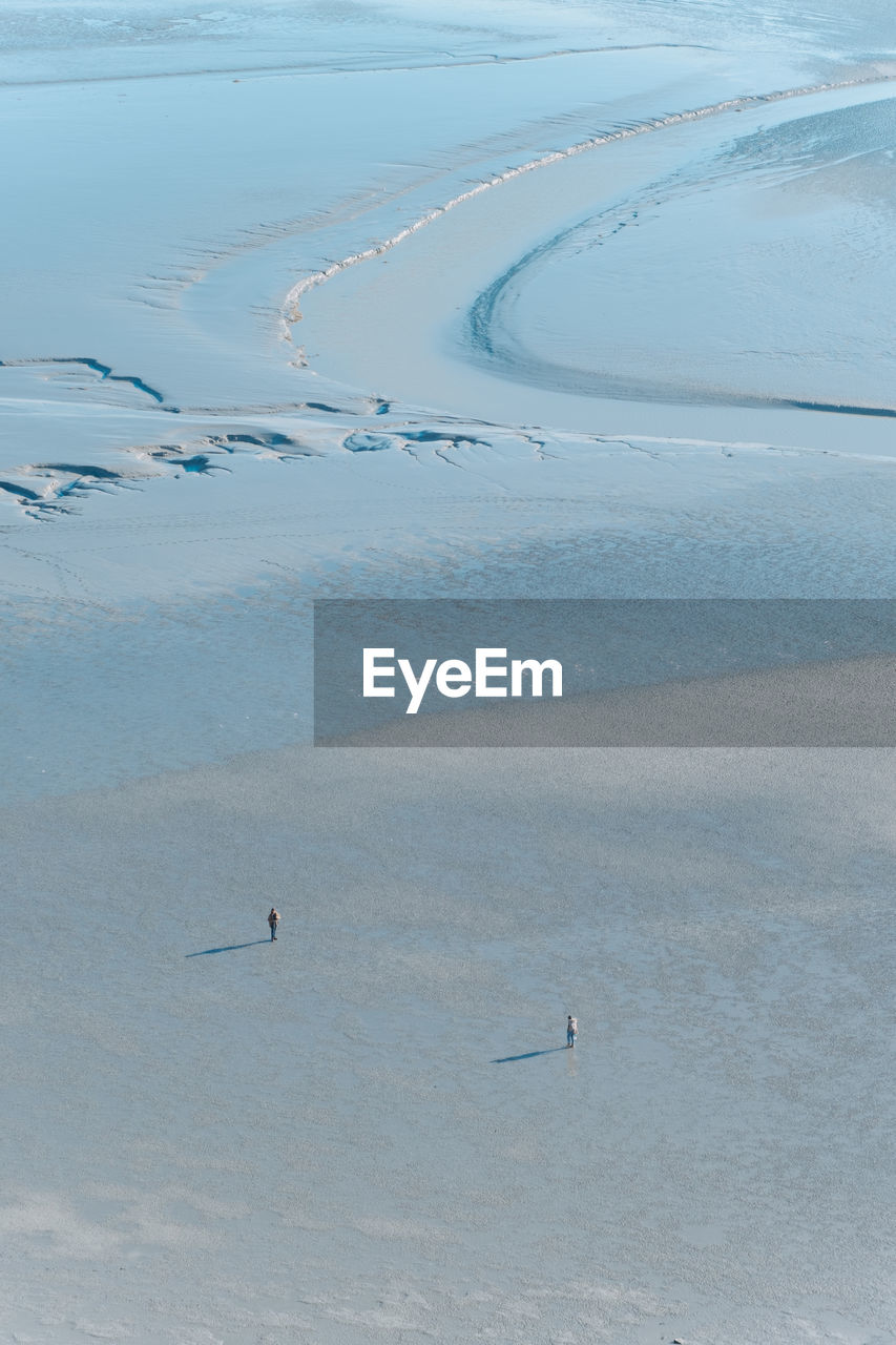 HIGH ANGLE VIEW OF BIRDS SWIMMING