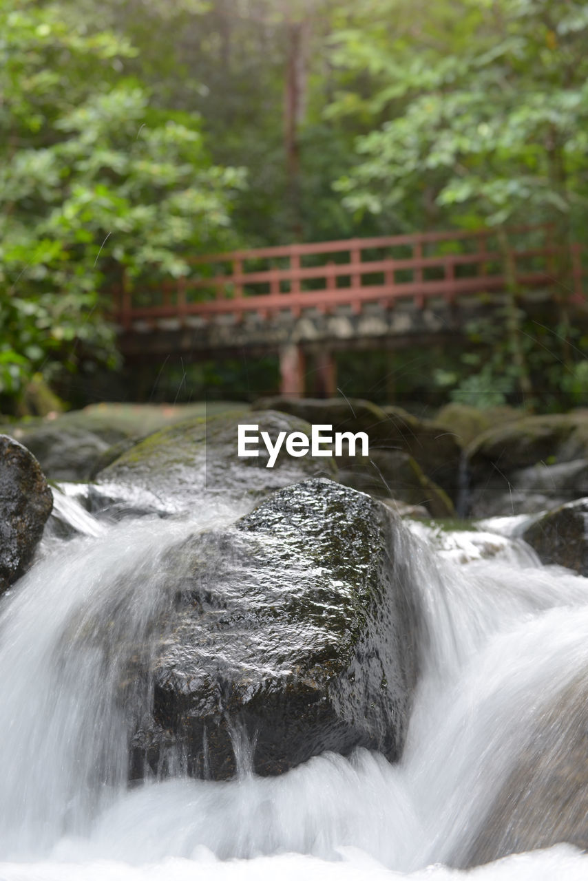 WATERFALL IN FOREST