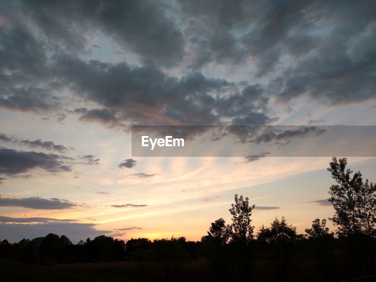 SILHOUETTE TREES AGAINST SKY DURING SUNSET