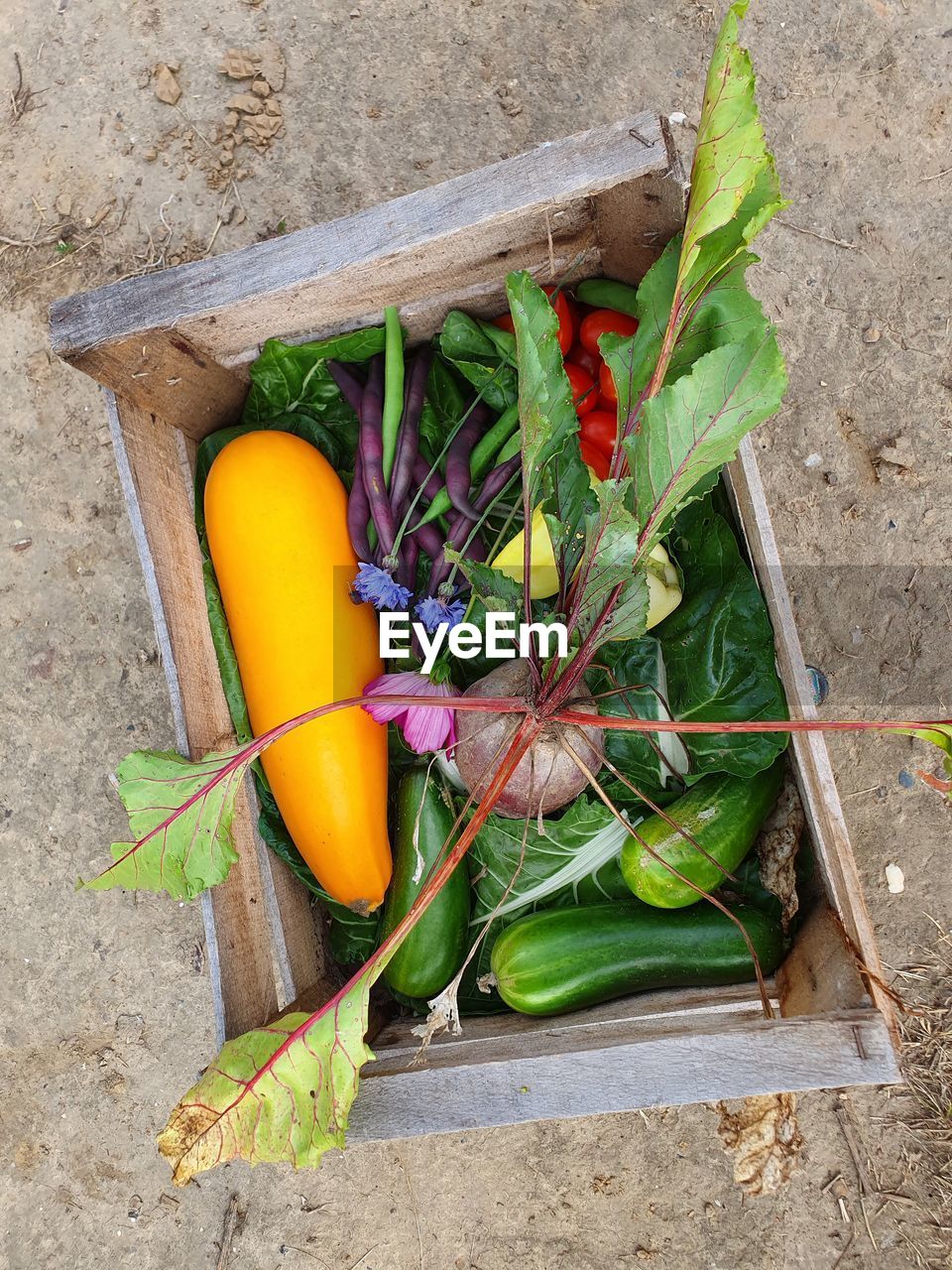 HIGH ANGLE VIEW OF VEGETABLES IN CONTAINER ON GREEN GRILL