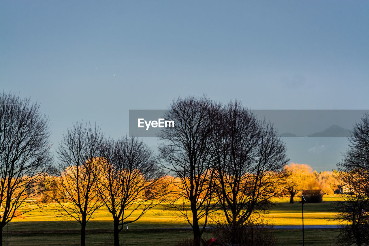 SILHOUETTE BARE TREES ON LANDSCAPE AGAINST CLEAR SKY