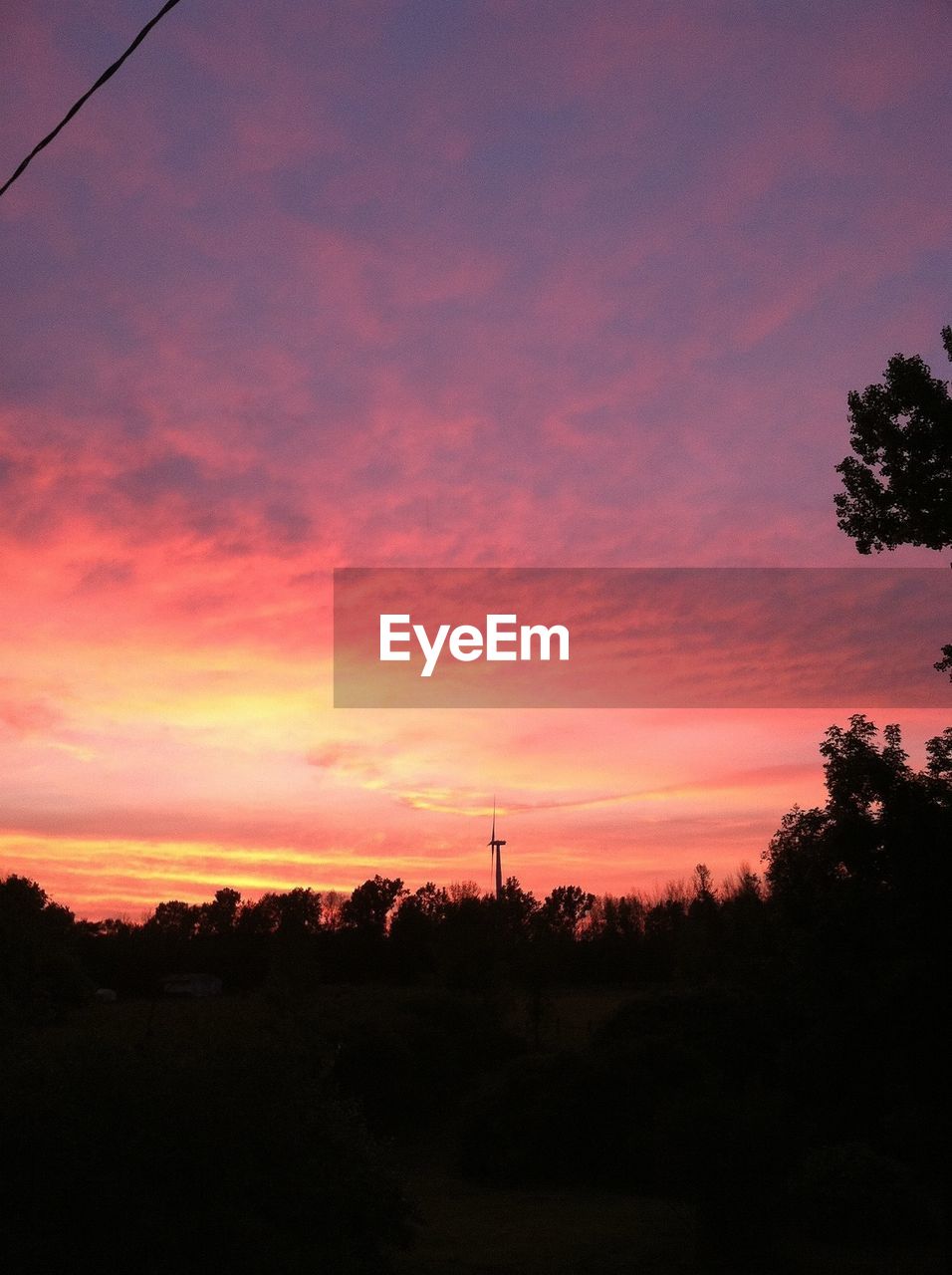 Silhouette of wind turbine and forest