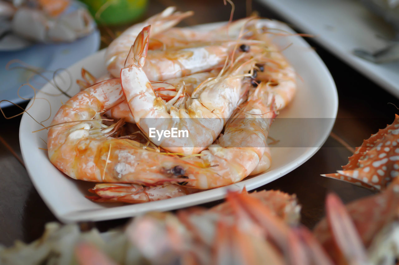 HIGH ANGLE VIEW OF SEAFOOD IN PLATE