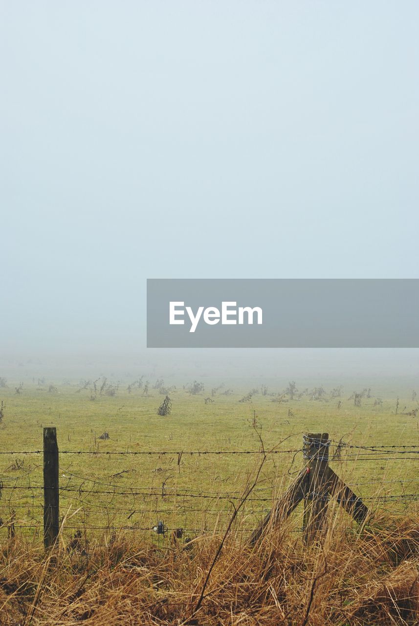 Scenic view of agricultural landscape against sky