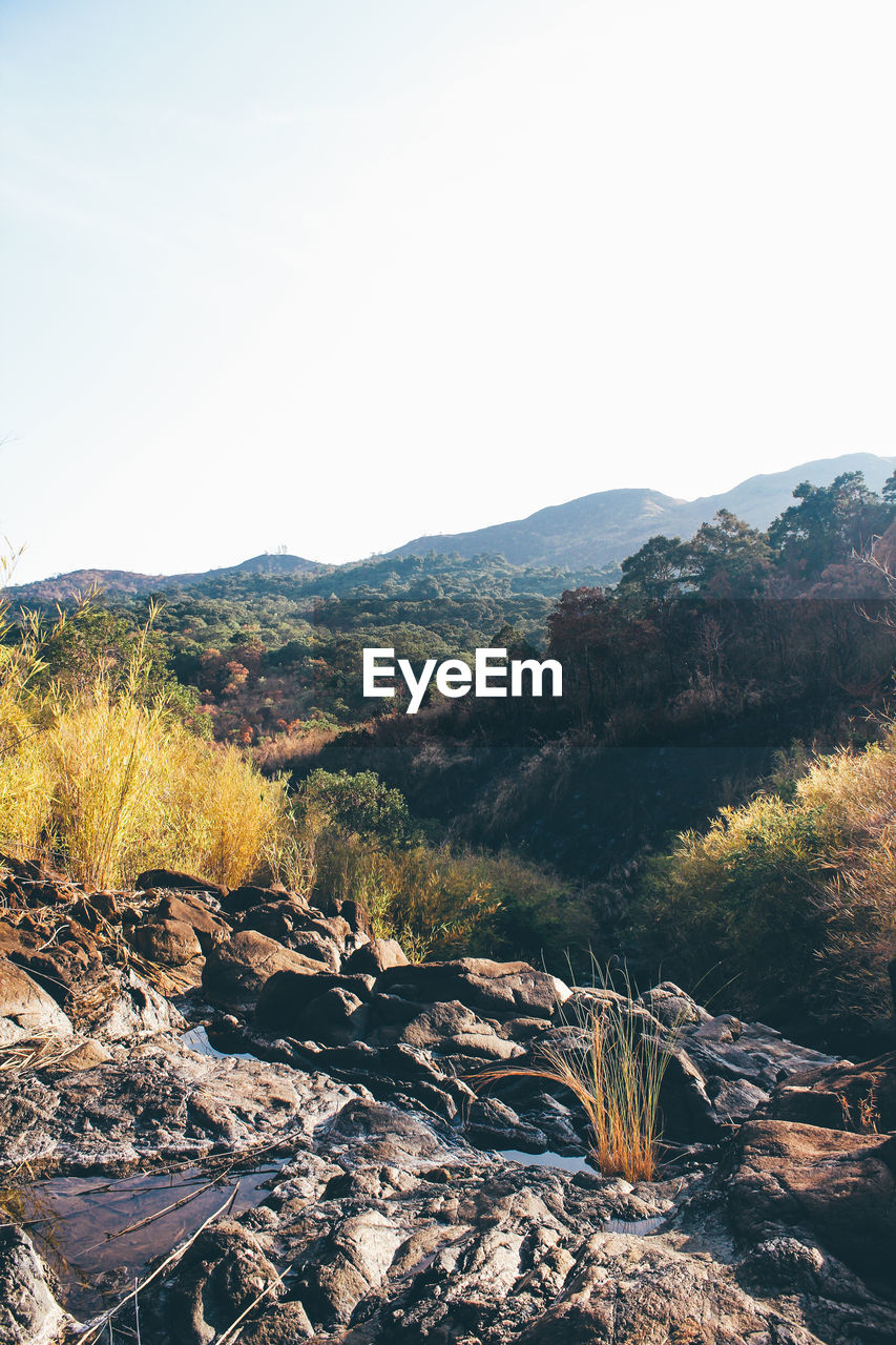 Scenic view of landscape against clear sky