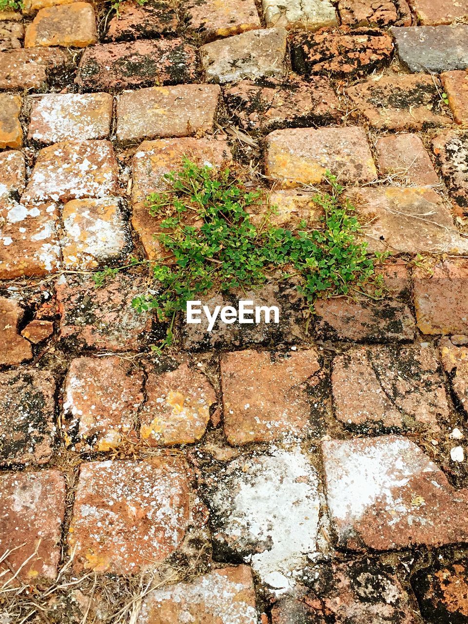 FULL FRAME SHOT OF BRICK WALL