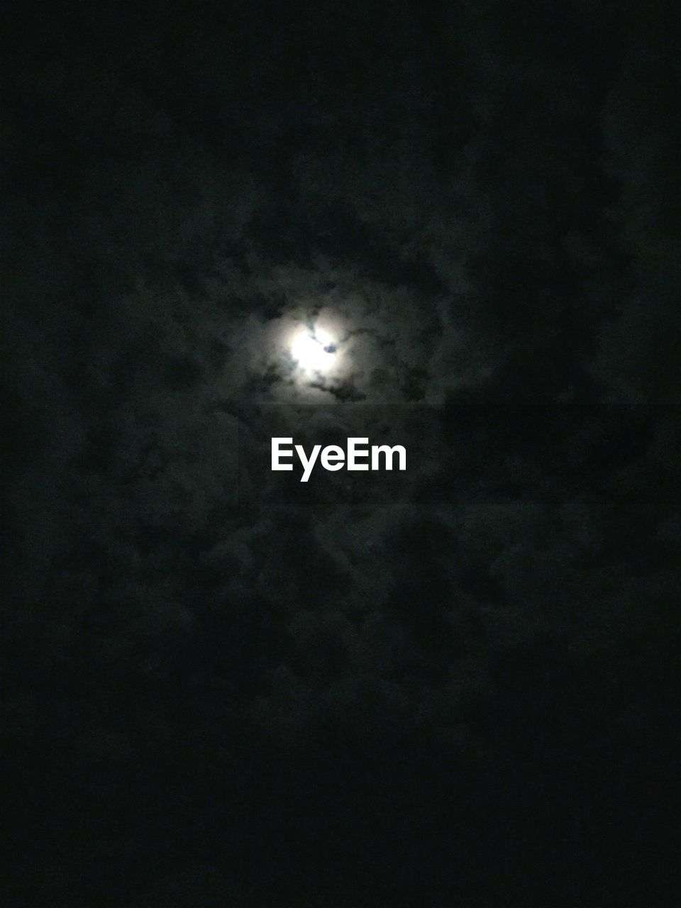 LOW ANGLE VIEW OF TREES AGAINST SKY AT NIGHT