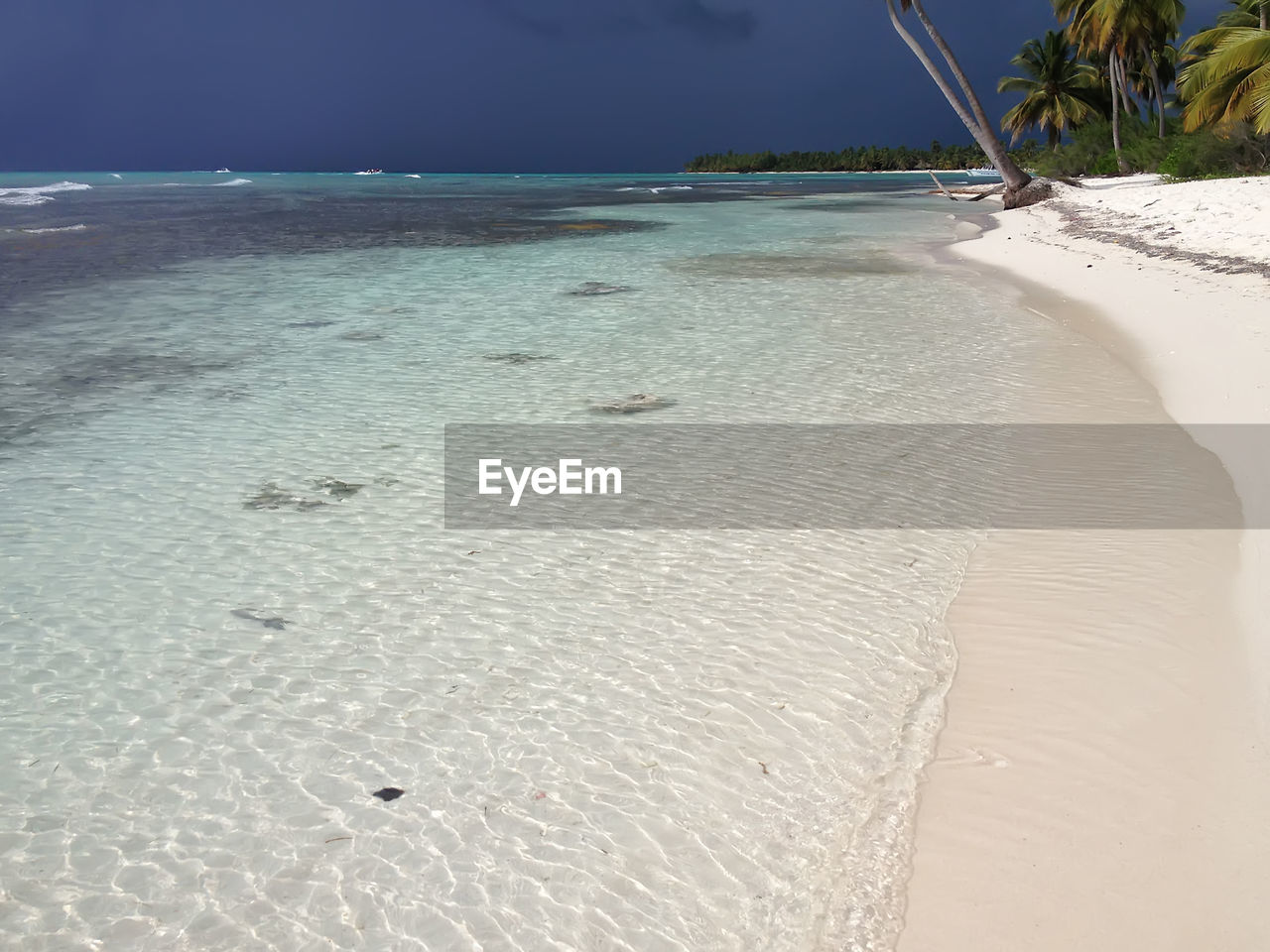 SCENIC VIEW OF SANDY BEACH