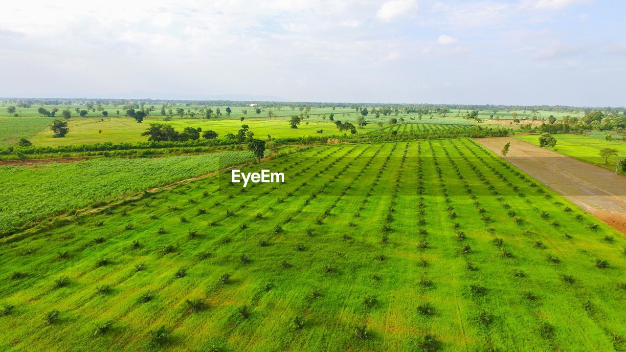 Scenic view of rural landscape