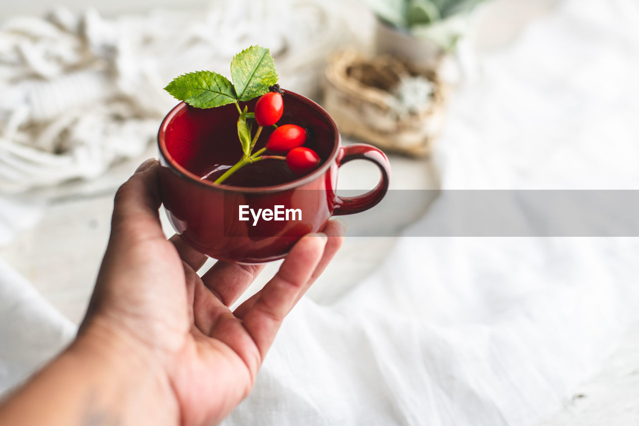 MIDSECTION OF PERSON HOLDING RED BERRIES IN CONTAINER