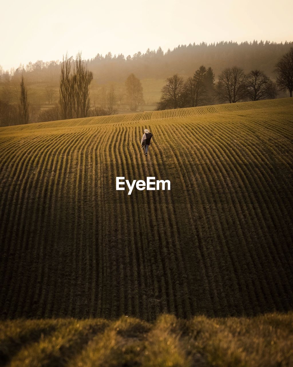 High angle view of young woman walking on agricultural field against sky