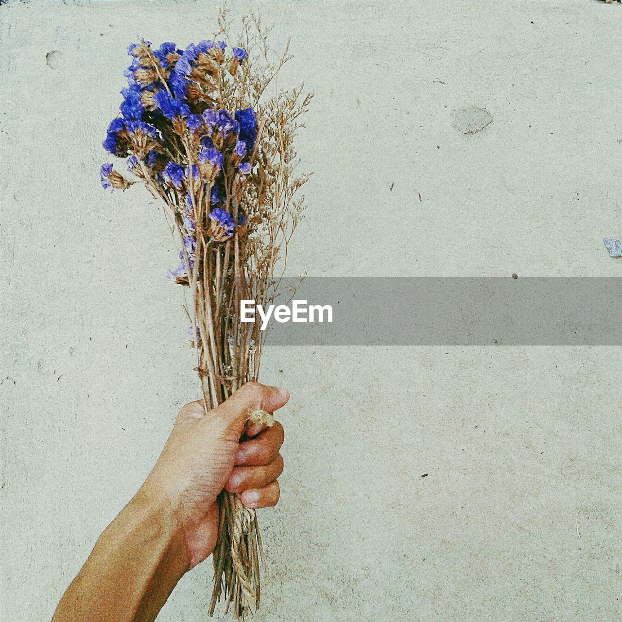 Cropped image of hand holding flowers against wall