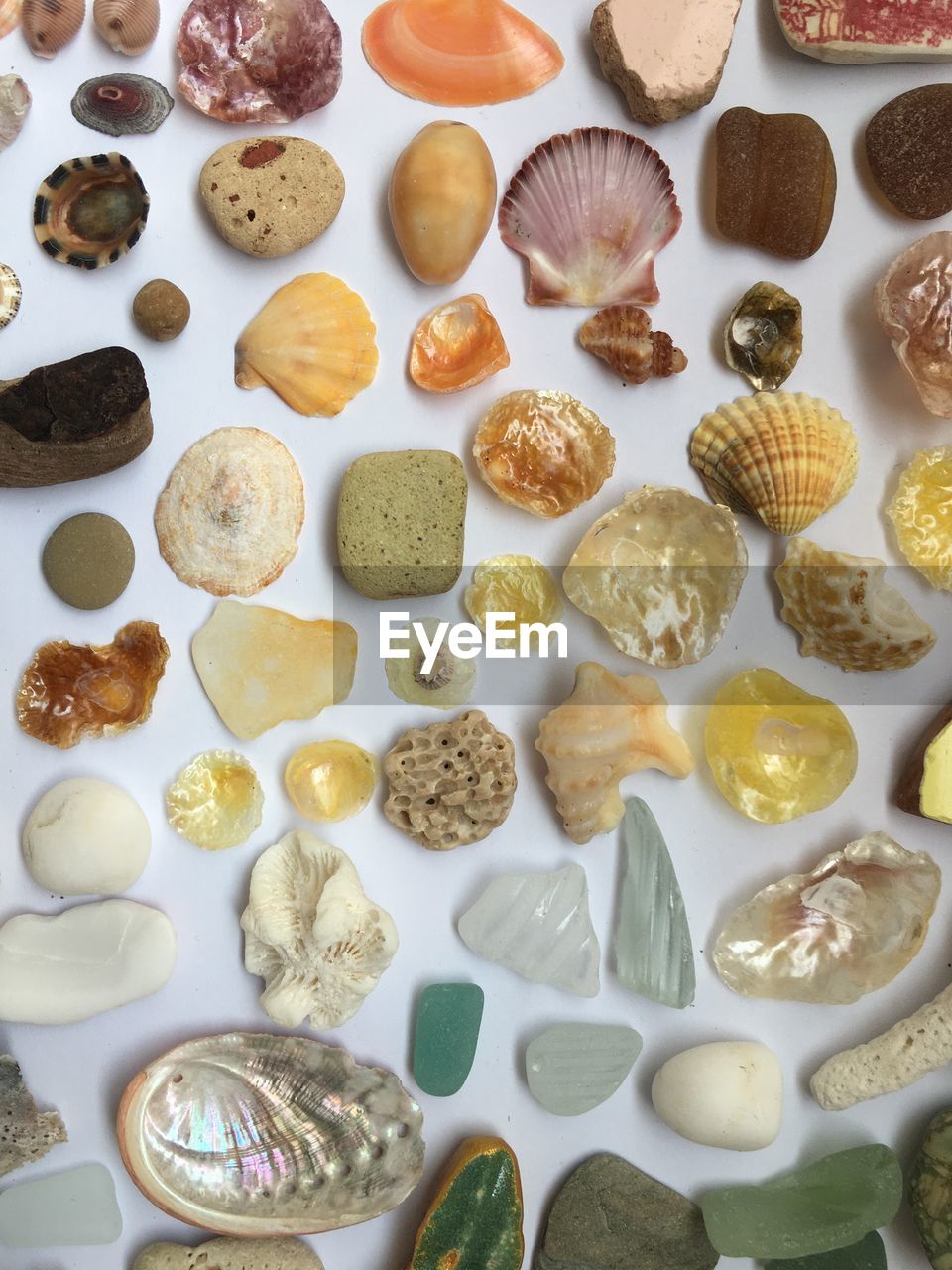 HIGH ANGLE VIEW OF FOOD IN PLATES ON TABLE