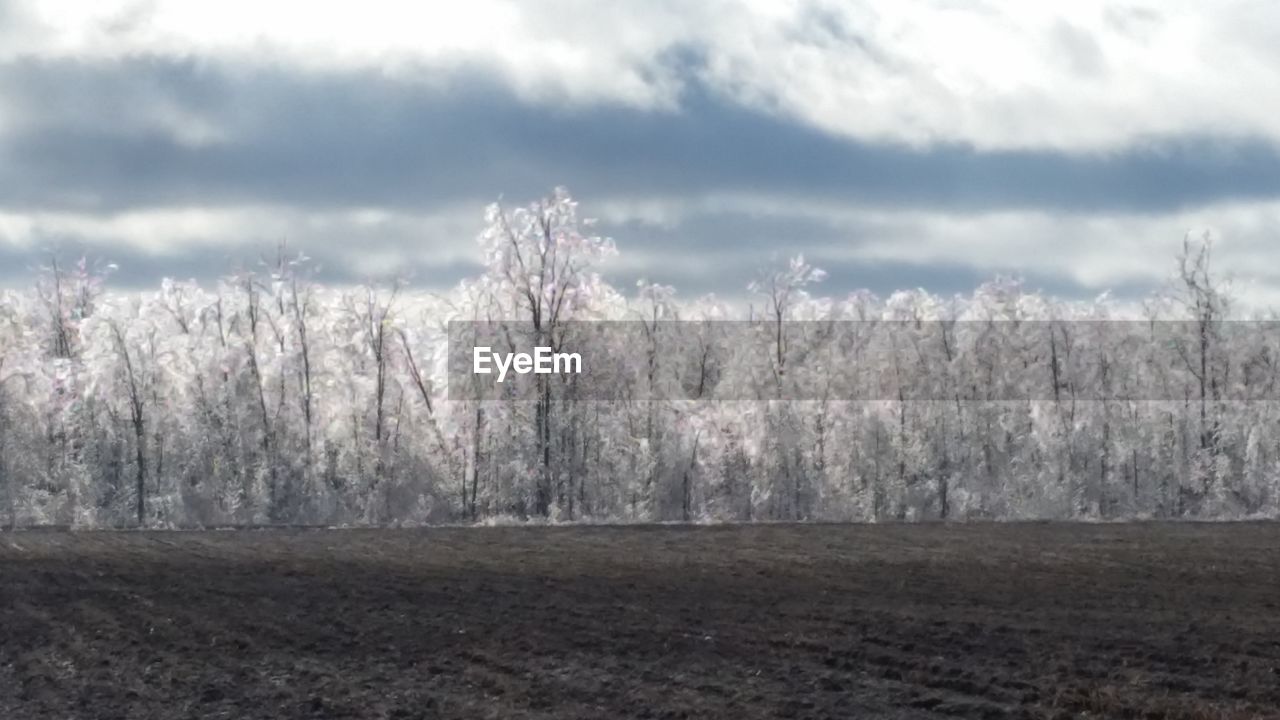 SNOW COVERED LANDSCAPE AGAINST CLOUDY SKY