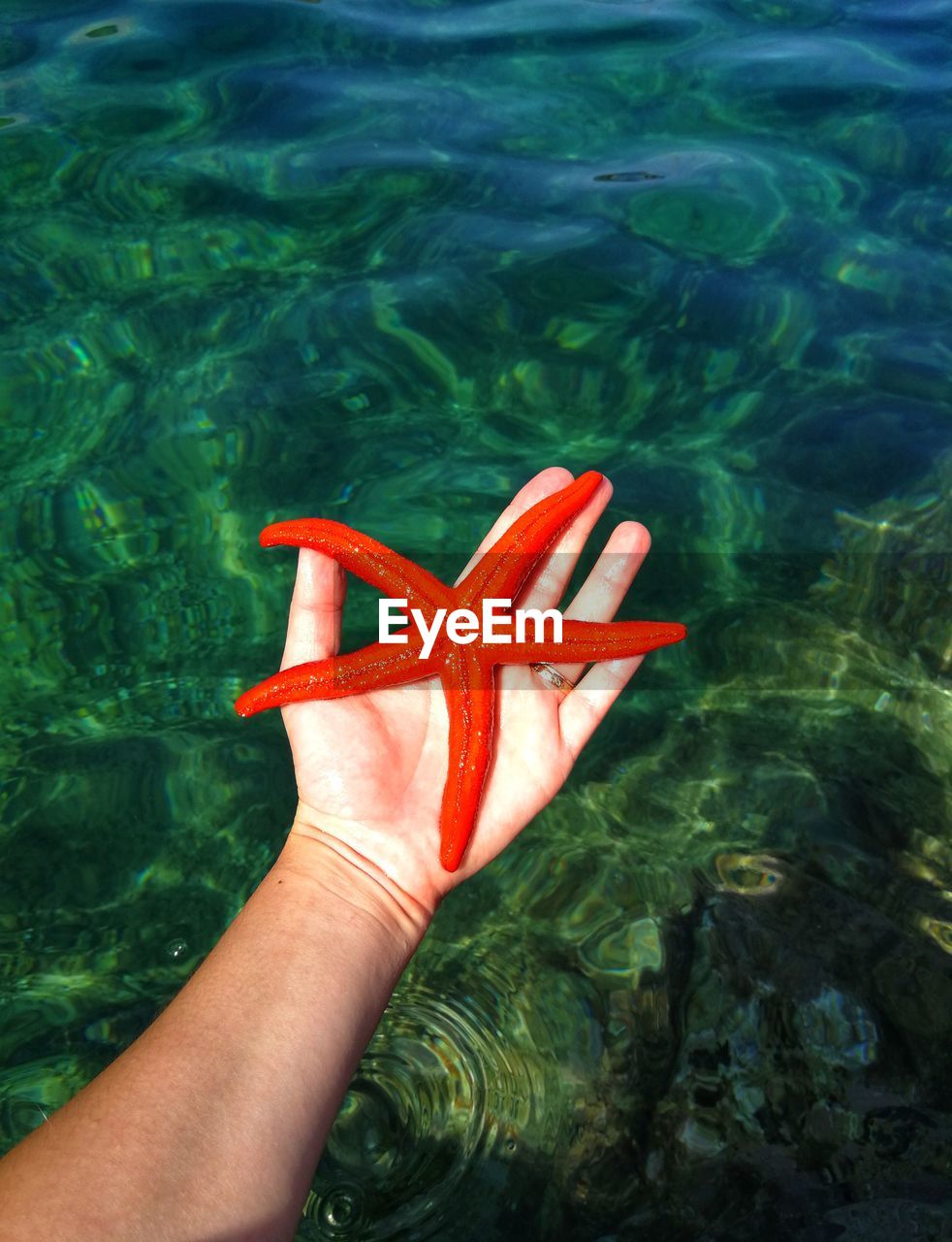 HIGH ANGLE VIEW OF PERSON HAND IN SEA WATER