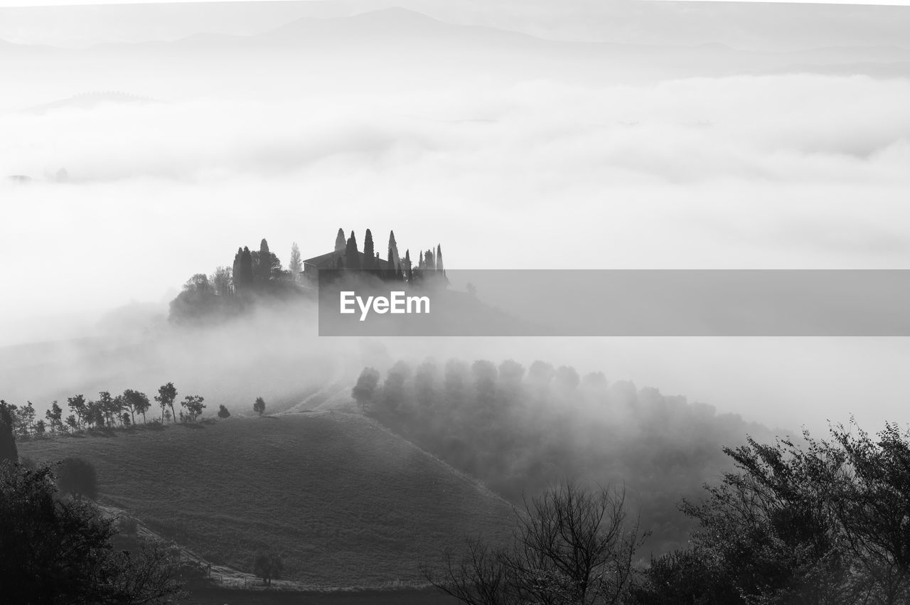 Panoramic view of trees on mountain against sky