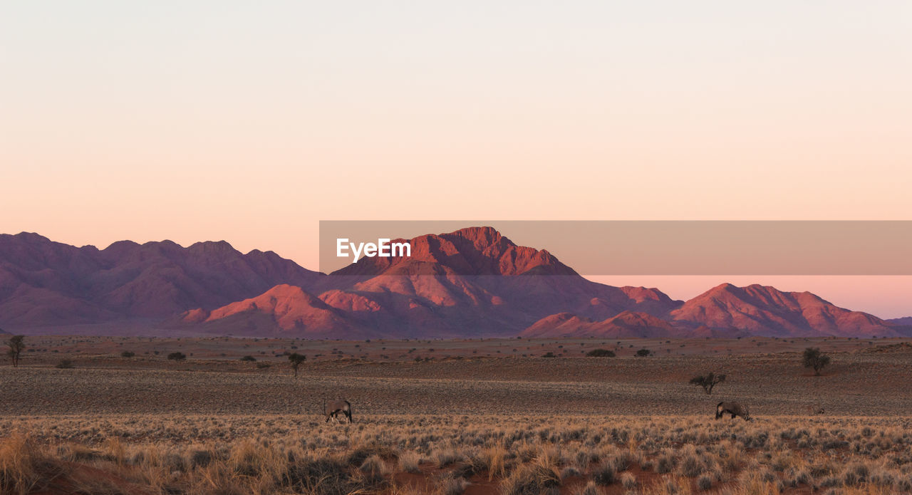 Scenic view of landscape and mountains against clear sky at sunset