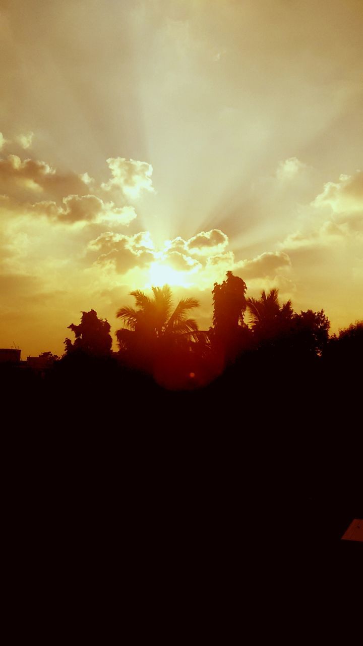 Silhouette trees against sky during sunset