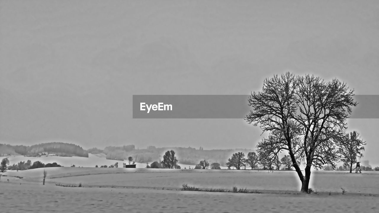BARE TREES ON FIELD AGAINST SKY DURING WINTER