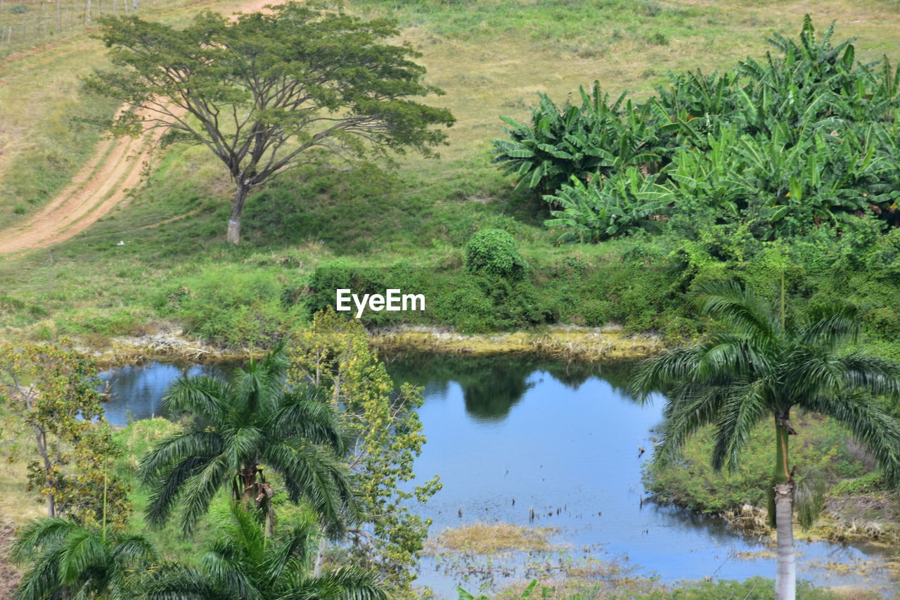 SCENIC VIEW OF LAKE