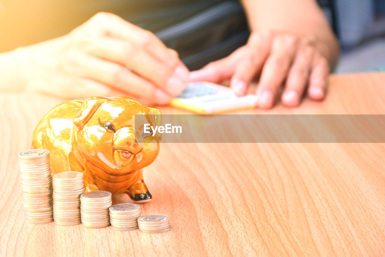 Close-up of coins with piggy bank on table while person in background