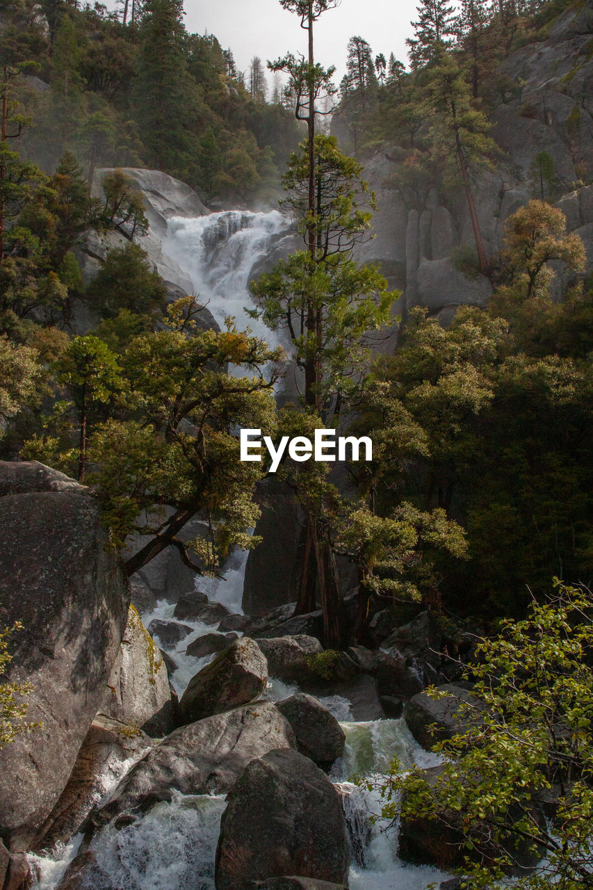 Stream flowing through rocks in forest