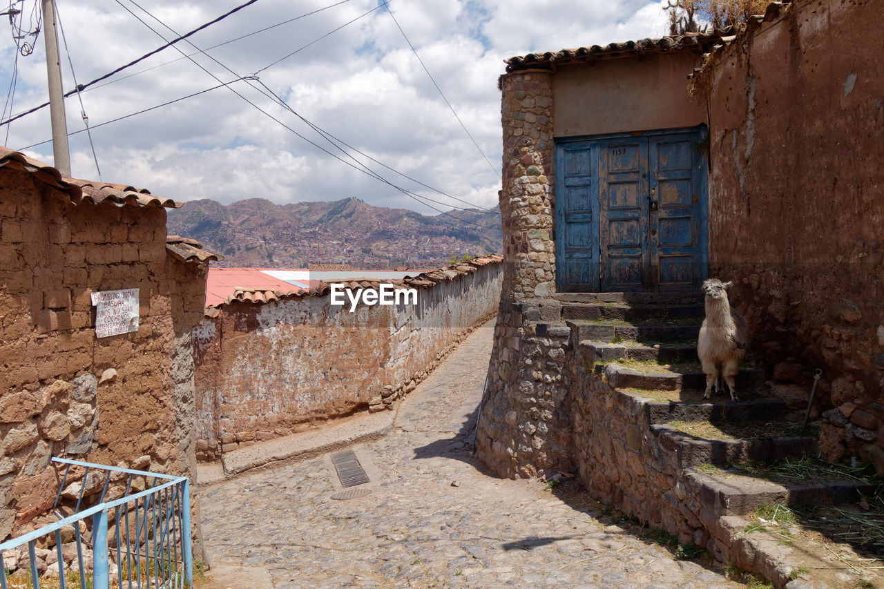 View of old building in peru with alpaca